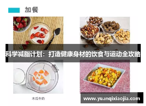 科学减脂计划：打造健康身材的饮食与运动全攻略